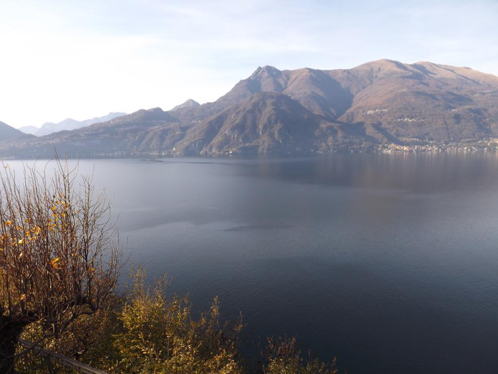 Exclusive Villa Crotto Lake View 바레나 외부 사진